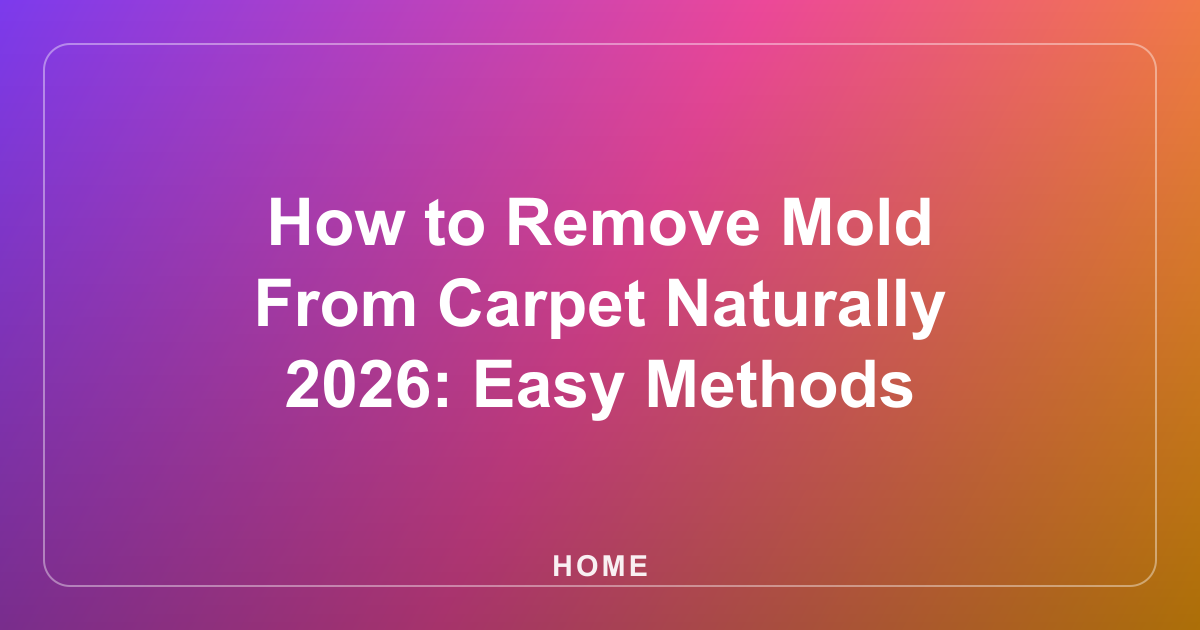 How to Remove Mold From Carpet Naturally 2026: Easy Methods