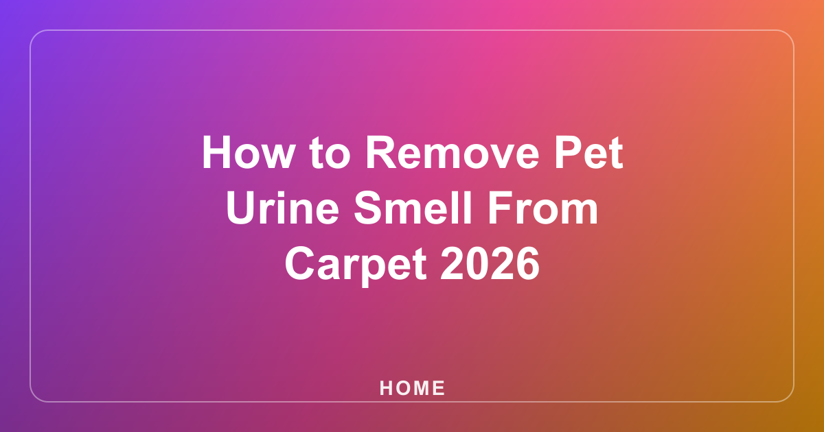How to Remove Pet Urine Smell From Carpet 2026