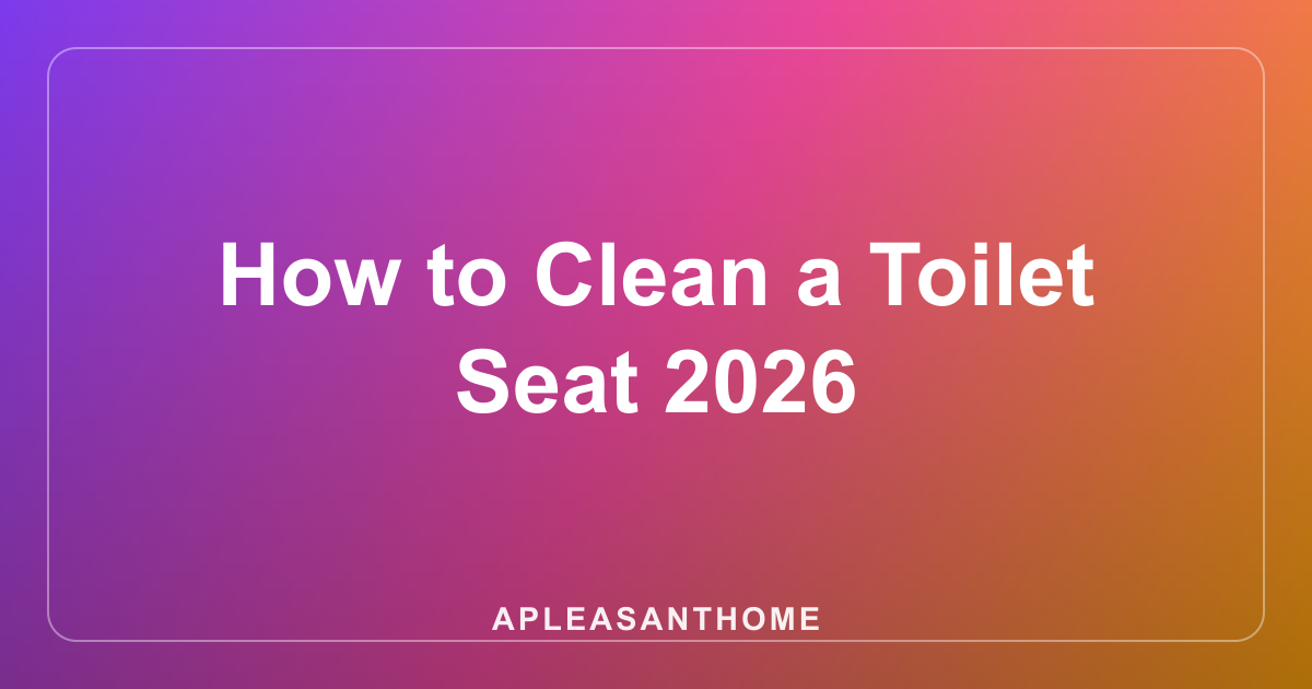 How to Clean a Toilet Seat