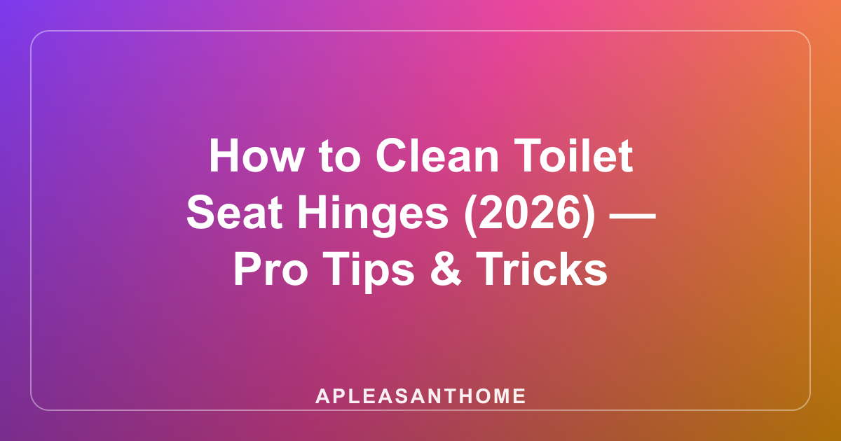 How to Clean Toilet Seat Hinges