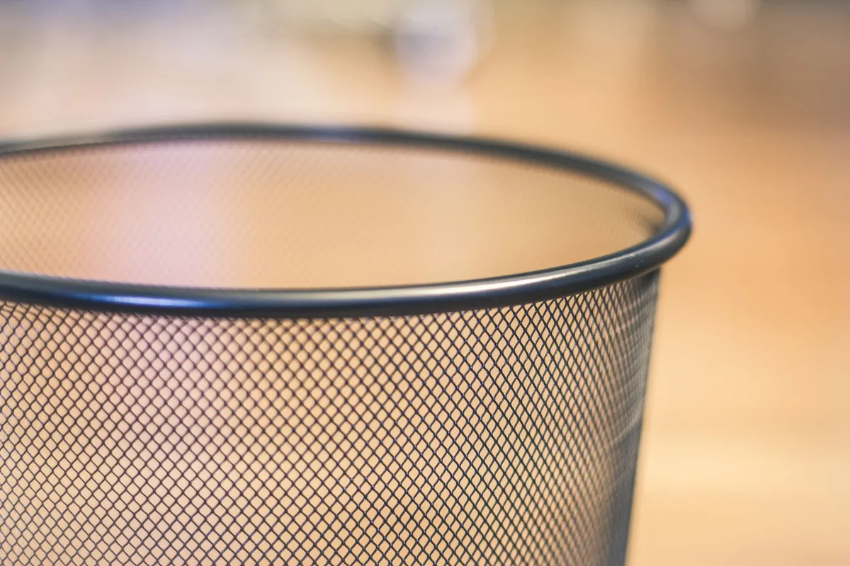 how to get rid of maggots in trash can