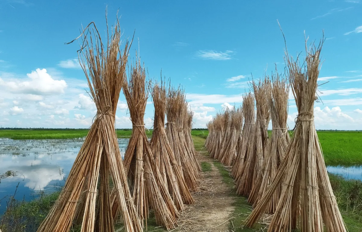 jute carpet drying