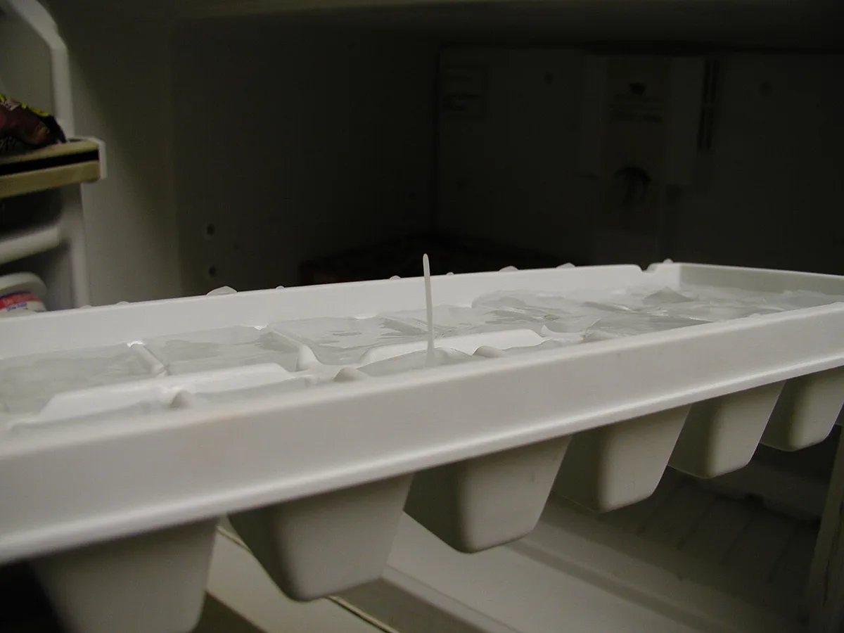 How to Prevent Mold in Plastic Storage Bins
