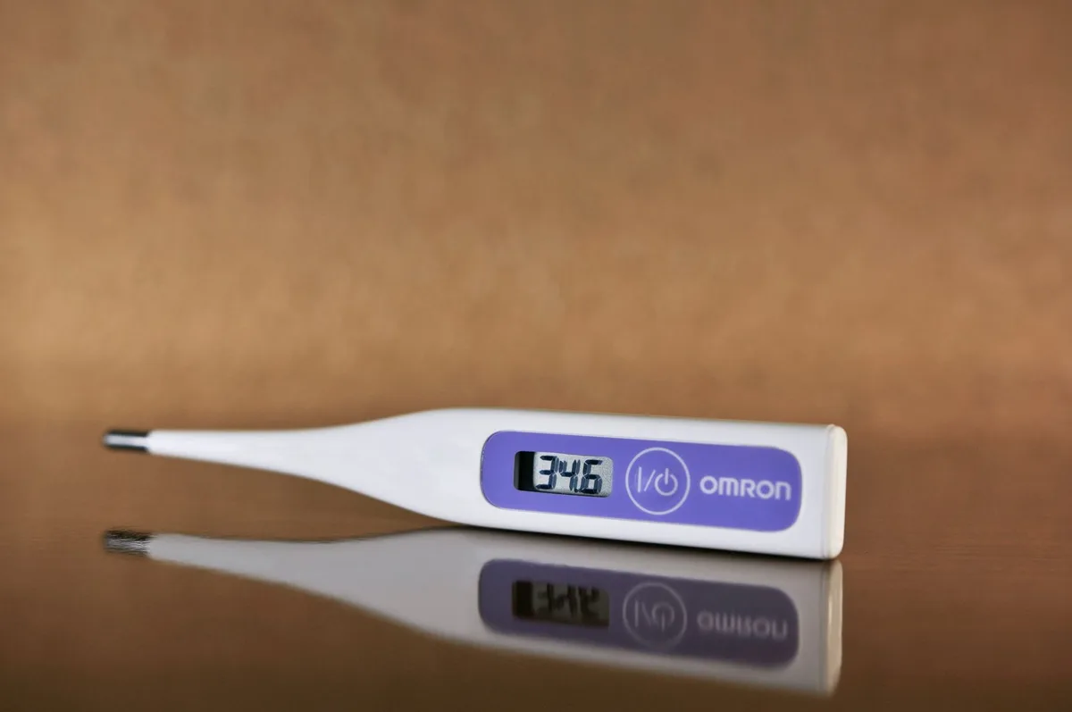 reference thermometer