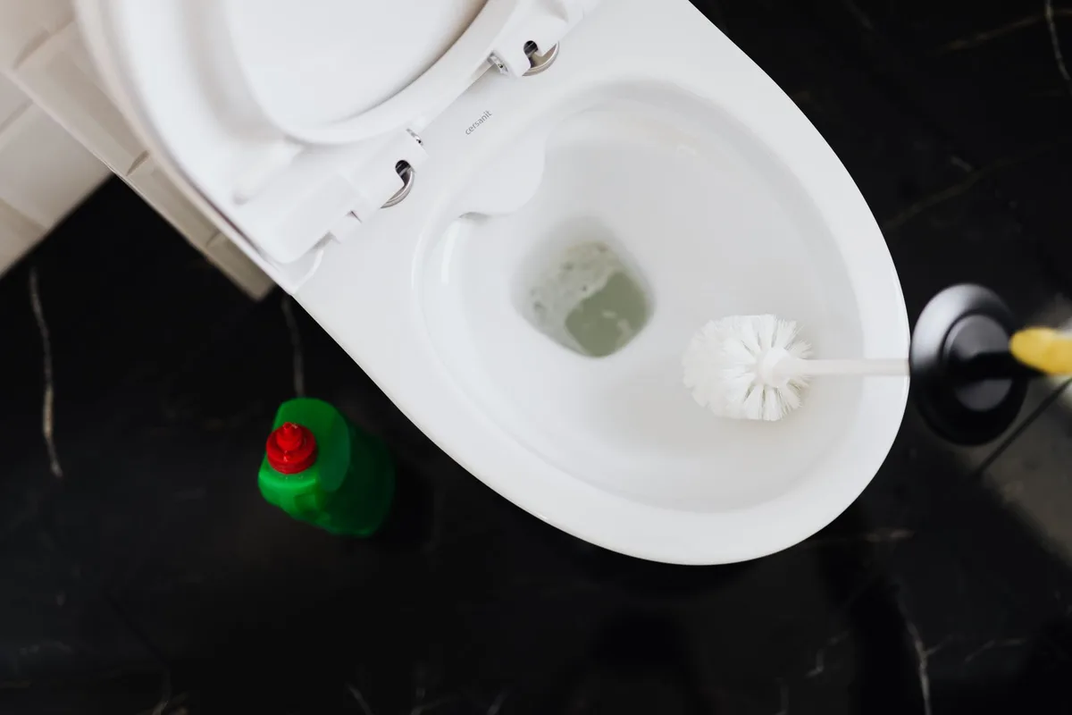How to Snake a Toilet Drain
