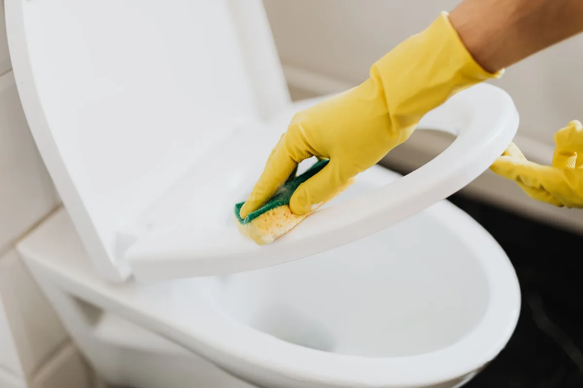 How to Remove Toilet Seat for Deep Cleaning