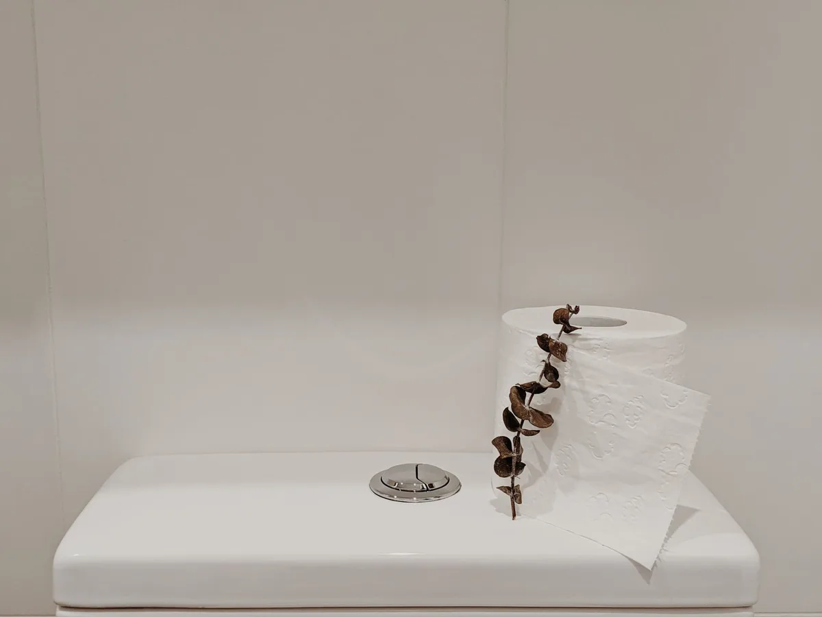 How to Tighten Toilet Tank Bolts
