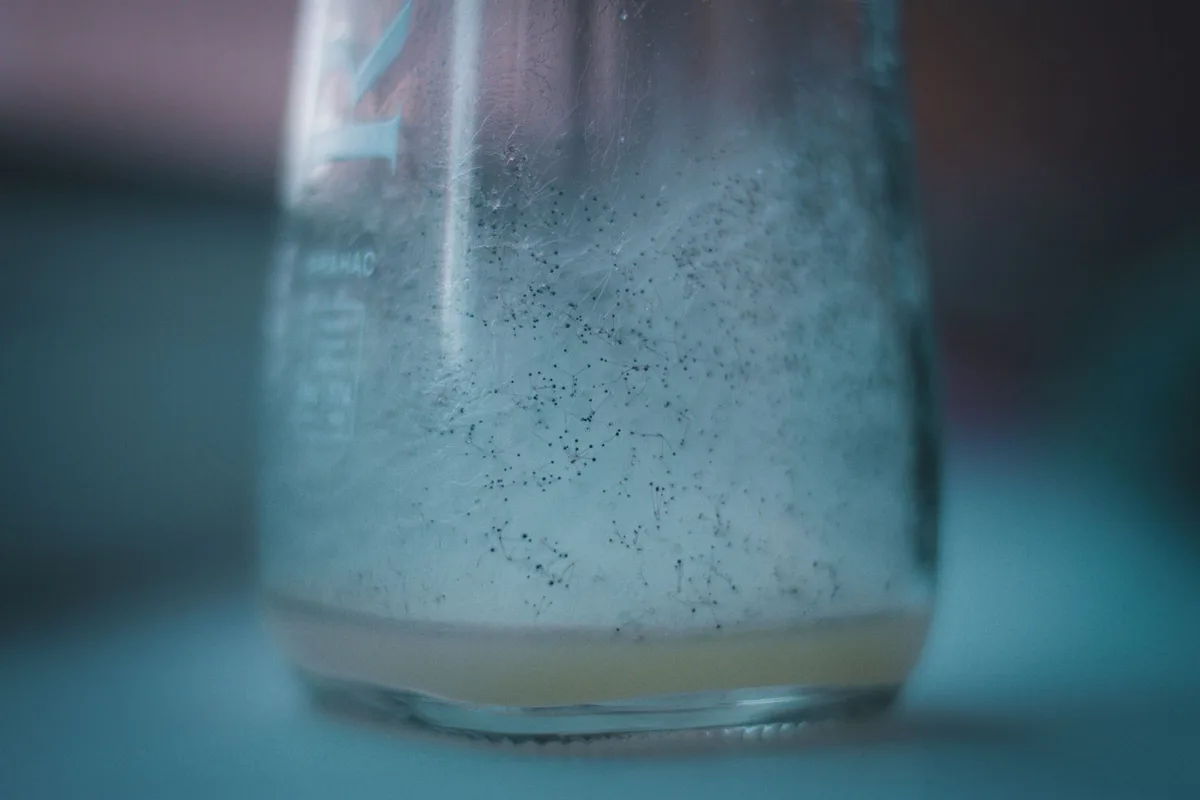condensation coil close-up