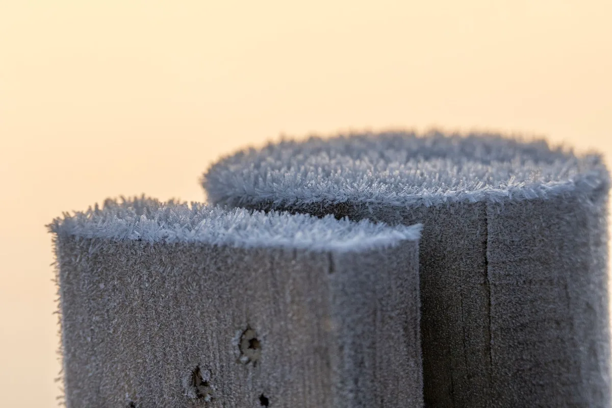 dehumidifier compressor frost formation