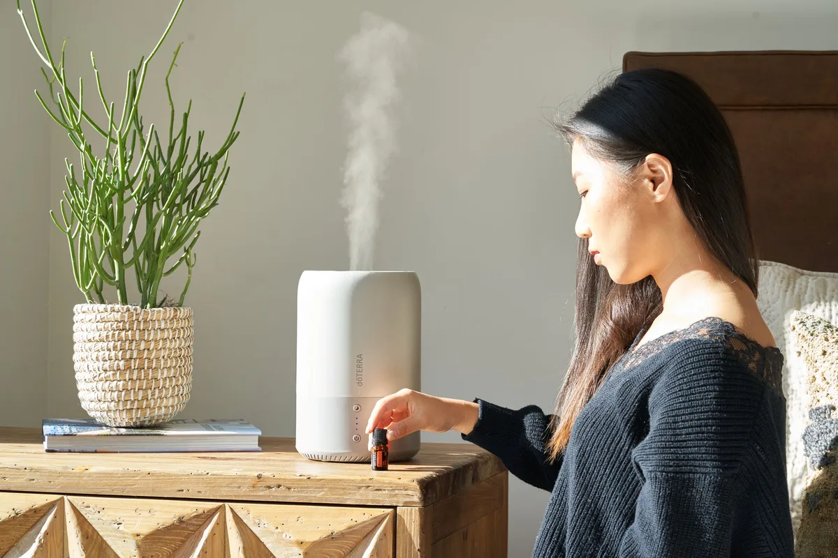 Humidifier Types and the Parts That Need Attention