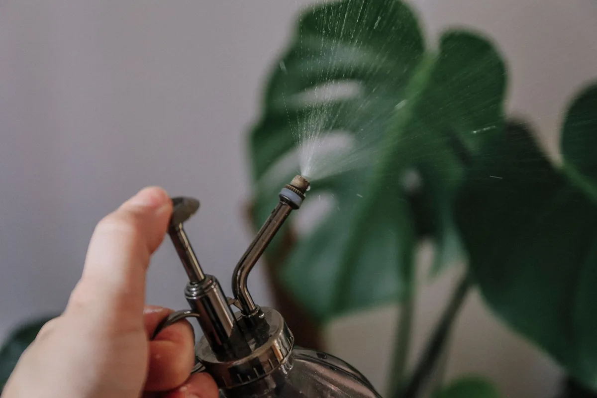ultrasonic transducer