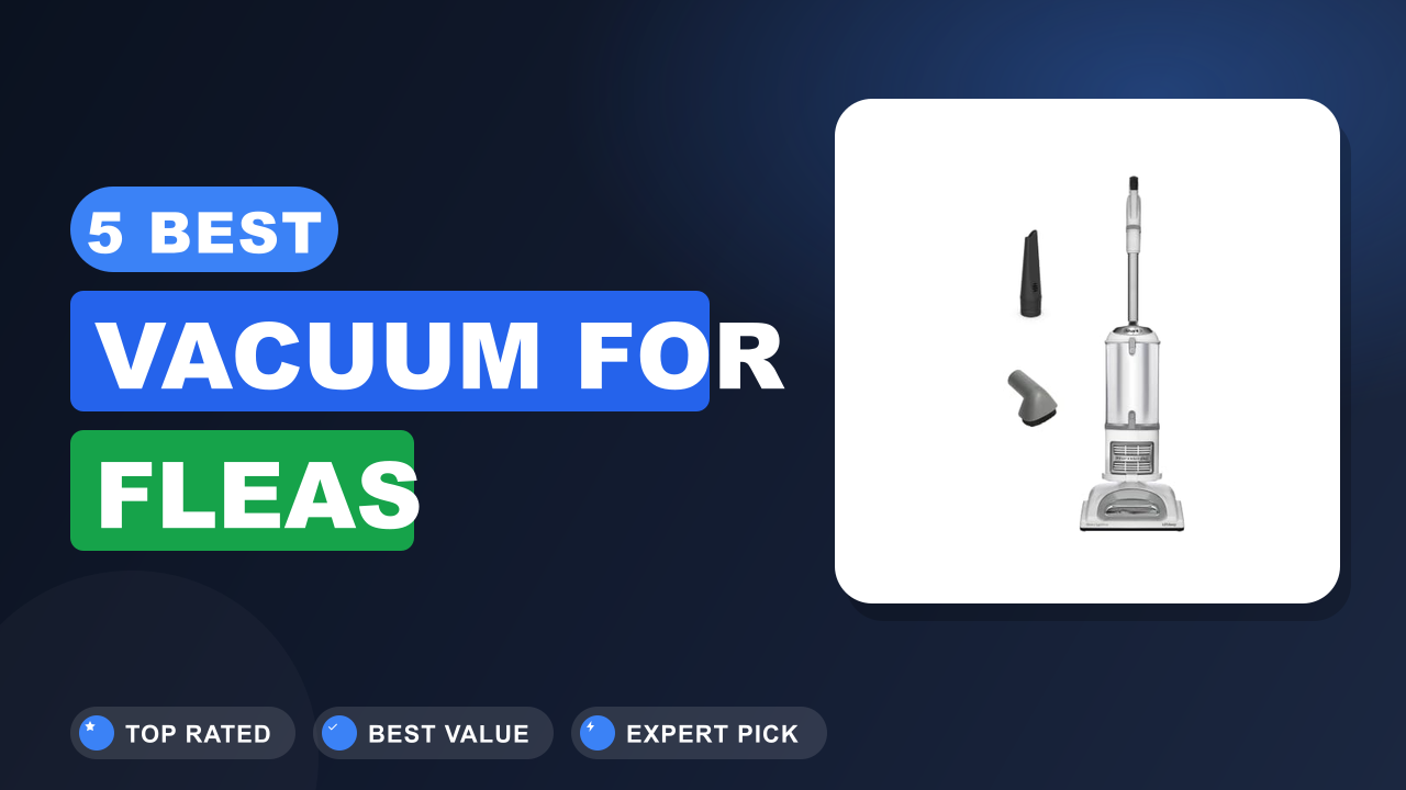 Best Vacuum for Fleas